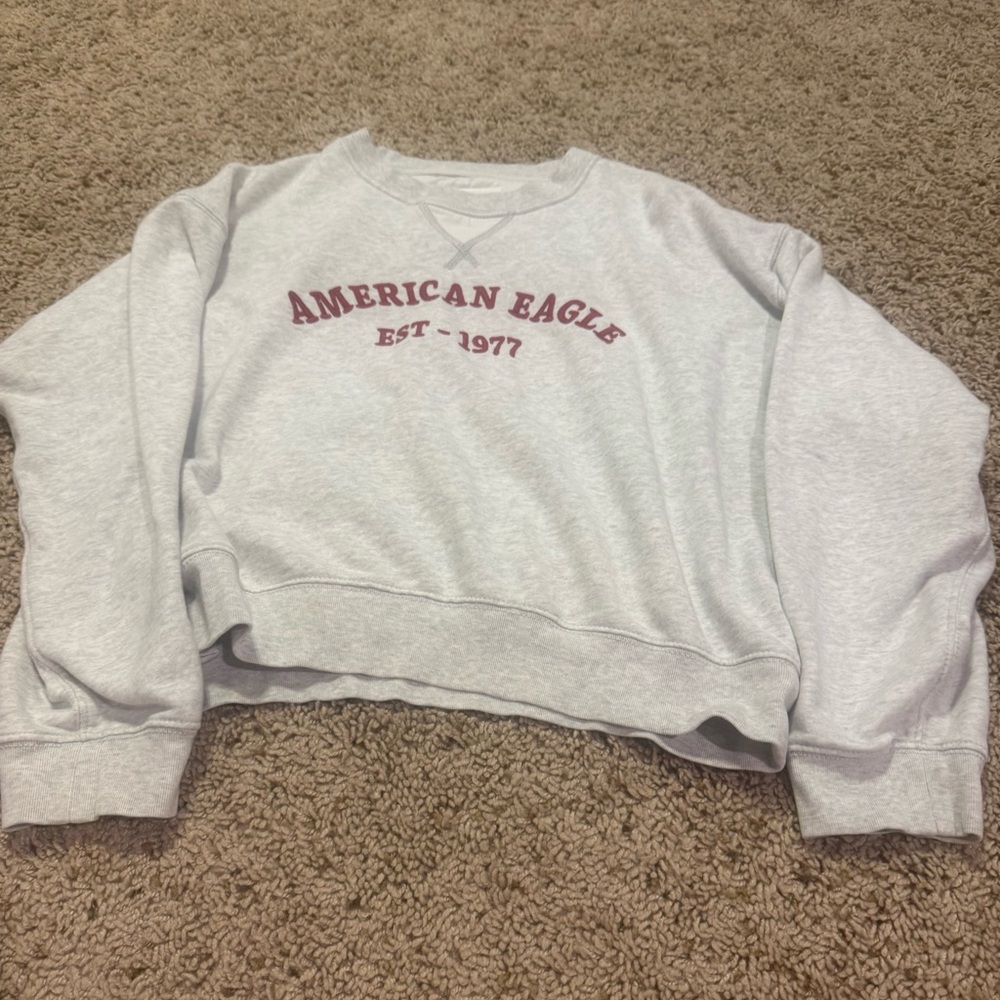 American Eagle Outfitters Light Gray Crew Neck Sweater